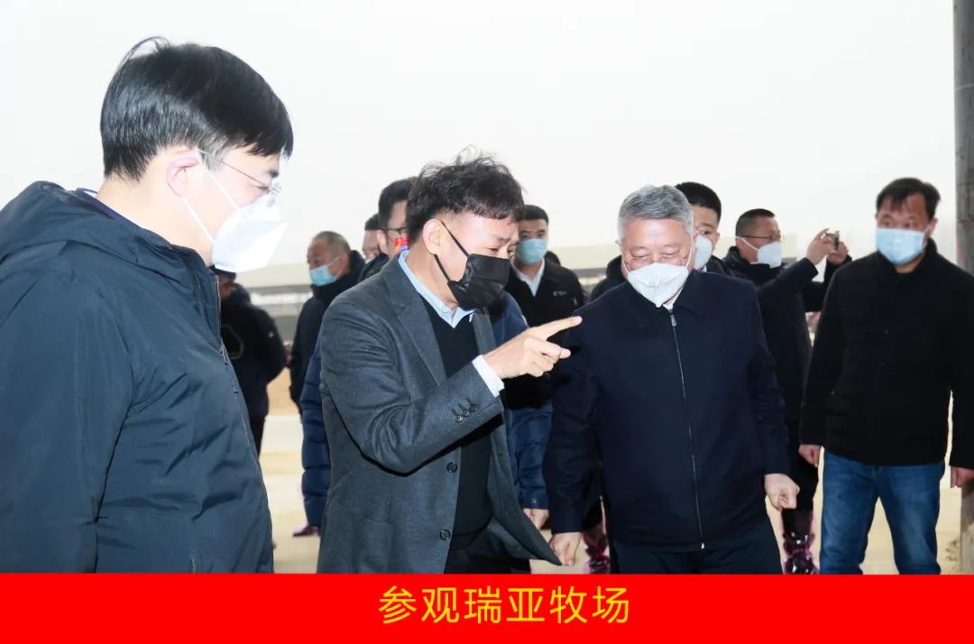 新年開(kāi)新局 合作促發(fā)展丨佳木斯市委常委、副市長(zhǎng)閆志剛一行蒞臨花花牛乳業(yè)集團(tuán)及佳田企業(yè)考察座談