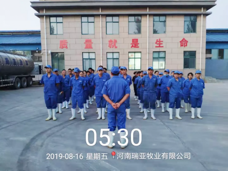 小晨會(huì)·大能量——砥礪奮進(jìn)的花花牛，加油！